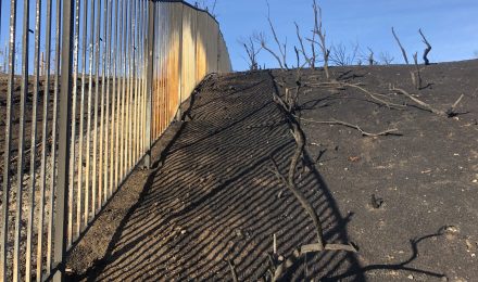 Fireproof fencing