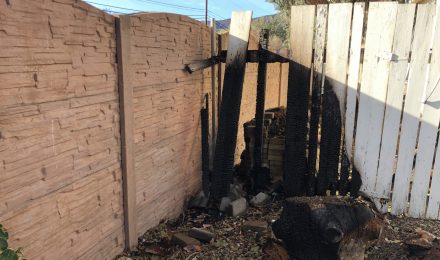 Fireproof fences