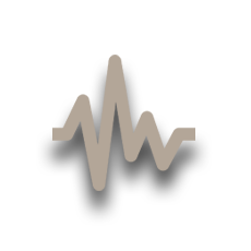 seismic