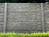 Chiseled - Image 5